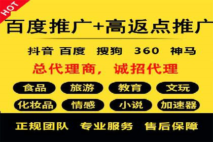 某电商平台的SEM运营实战与效果分析